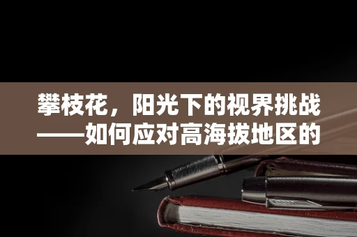 攀枝花，阳光下的视界挑战——如何应对高海拔地区的眼部健康问题？