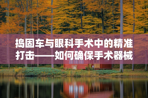 捣固车与眼科手术中的精准打击——如何确保手术器械的眼中精准定位？