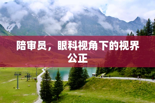 陪审员，眼科视角下的视界公正