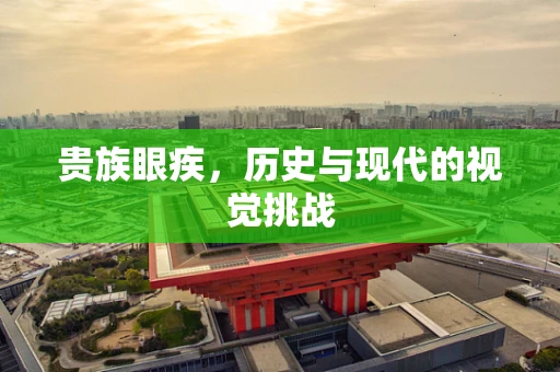 贵族眼疾，历史与现代的视觉挑战