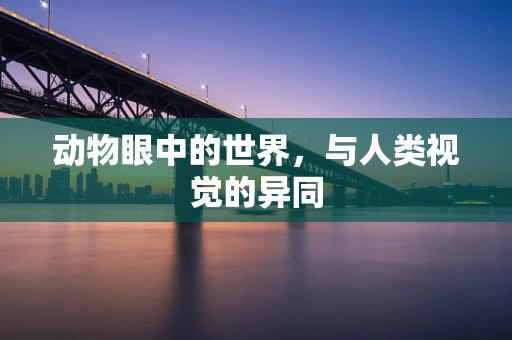 动物眼中的世界，与人类视觉的异同