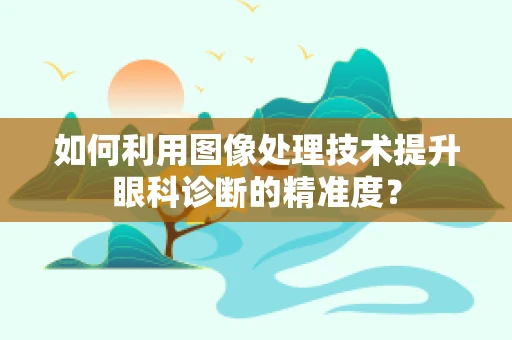 如何利用图像处理技术提升眼科诊断的精准度？