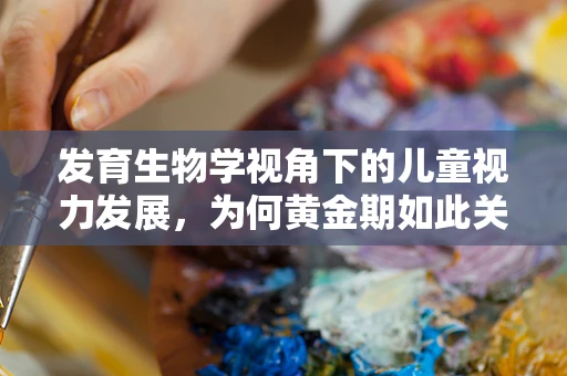 发育生物学视角下的儿童视力发展，为何黄金期如此关键？