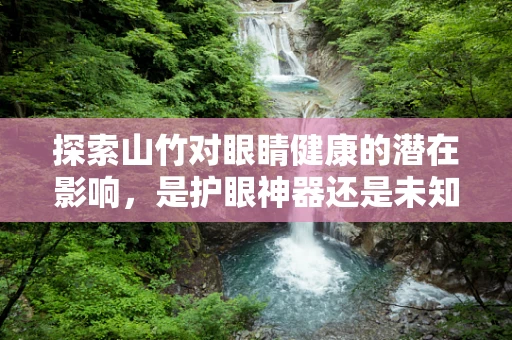 探索山竹对眼睛健康的潜在影响，是护眼神器还是未知的挑战？