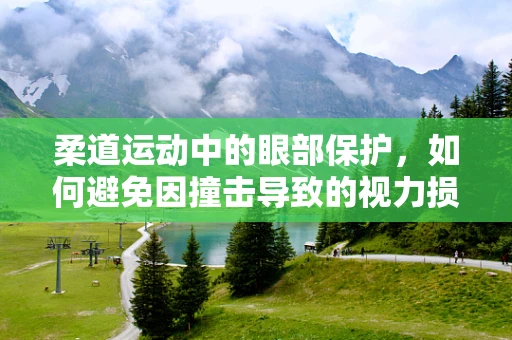 柔道运动中的眼部保护，如何避免因撞击导致的视力损伤？