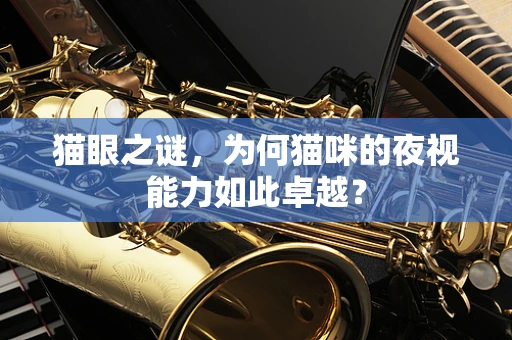 猫眼之谜，为何猫咪的夜视能力如此卓越？