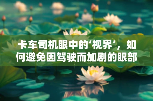 卡车司机眼中的‘视界’，如何避免因驾驶而加剧的眼部问题？