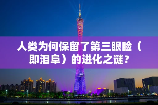 人类为何保留了第三眼睑（即泪阜）的进化之谜？