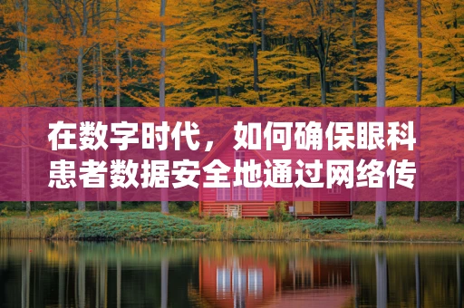 在数字时代，如何确保眼科患者数据安全地通过网络传输？