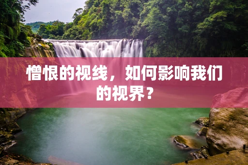 憎恨的视线，如何影响我们的视界？