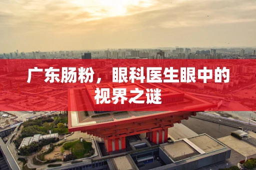 广东肠粉，眼科医生眼中的视界之谜