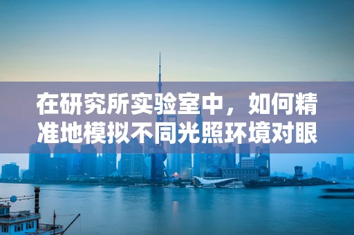 在研究所实验室中，如何精准地模拟不同光照环境对眼睛的影响？