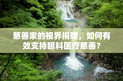 慈善家的视界捐赠，如何有效支持眼科医疗慈善？
