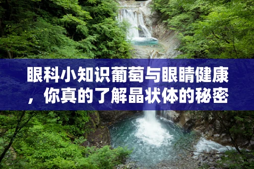 眼科小知识葡萄与眼睛健康，你真的了解晶状体的秘密吗？