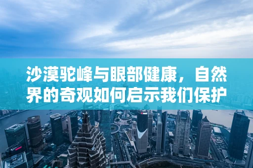 沙漠驼峰与眼部健康，自然界的奇观如何启示我们保护视力？