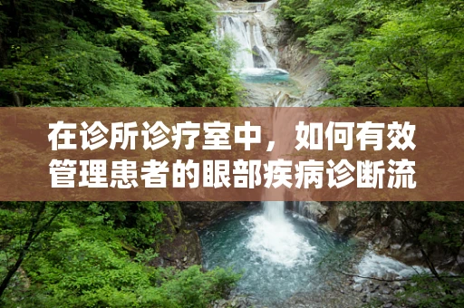 在诊所诊疗室中，如何有效管理患者的眼部疾病诊断流程？