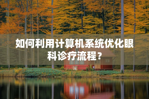 如何利用计算机系统优化眼科诊疗流程？
