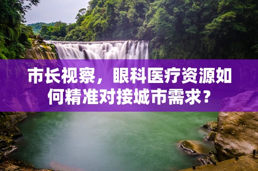 市长视察，眼科医疗资源如何精准对接城市需求？