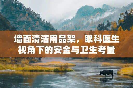 墙面清洁用品架，眼科医生视角下的安全与卫生考量