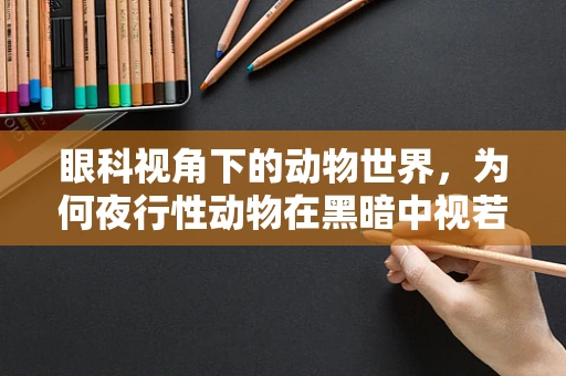 眼科视角下的动物世界，为何夜行性动物在黑暗中视若无睹？