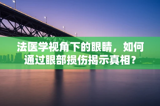 法医学视角下的眼睛，如何通过眼部损伤揭示真相？
