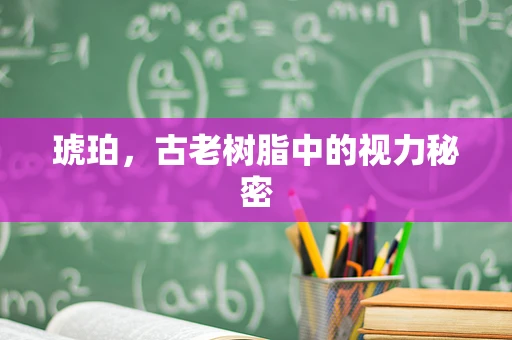 琥珀，古老树脂中的视力秘密
