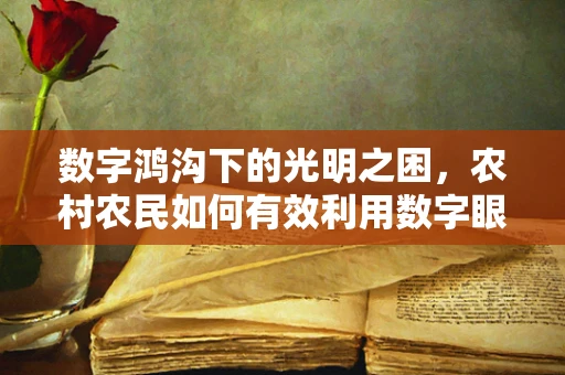 数字鸿沟下的光明之困，农村农民如何有效利用数字眼科服务？