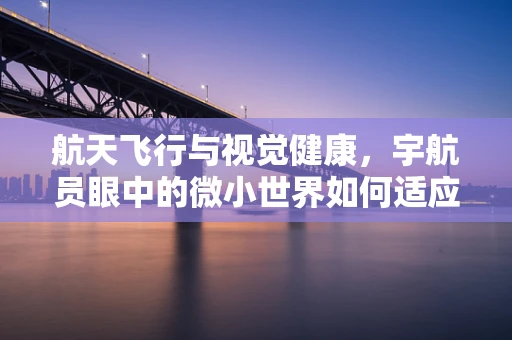 航天飞行与视觉健康，宇航员眼中的微小世界如何适应高G力环境？