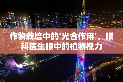 作物栽培中的‘光合作用’，眼科医生眼中的植物视力