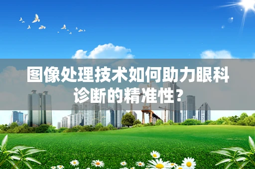 图像处理技术如何助力眼科诊断的精准性？