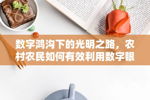 数字鸿沟下的光明之路，农村农民如何有效利用数字眼科服务？