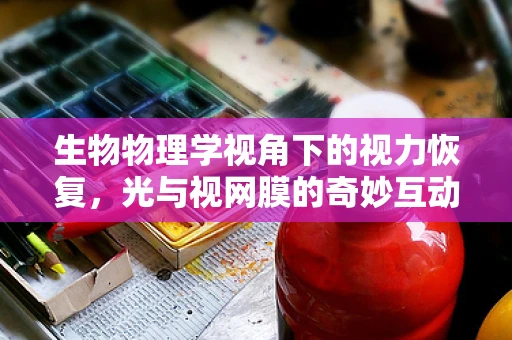 生物物理学视角下的视力恢复，光与视网膜的奇妙互动