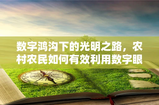 数字鸿沟下的光明之路，农村农民如何有效利用数字眼科服务？
