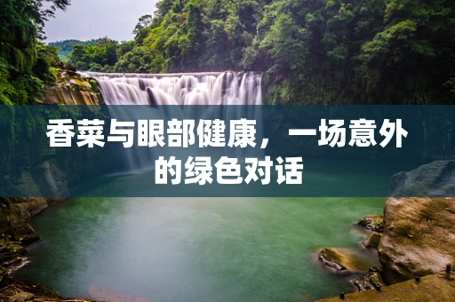 香菜与眼部健康，一场意外的绿色对话