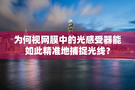 为何视网膜中的光感受器能如此精准地捕捉光线？