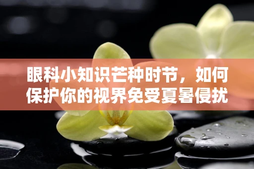 眼科小知识芒种时节，如何保护你的视界免受夏暑侵扰？