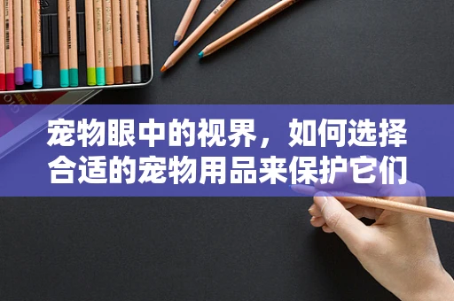 宠物眼中的视界，如何选择合适的宠物用品来保护它们的视力？
