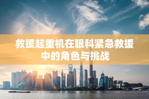 救援起重机在眼科紧急救援中的角色与挑战