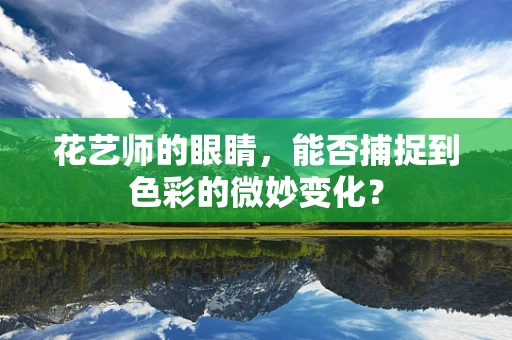 花艺师的眼睛，能否捕捉到色彩的微妙变化？