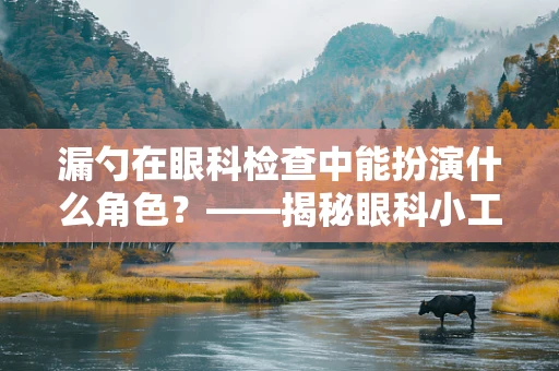 漏勺在眼科检查中能扮演什么角色？——揭秘眼科小工具的妙用
