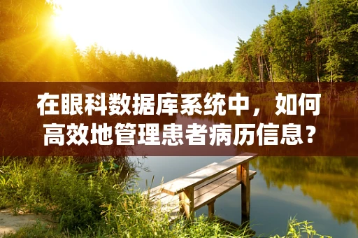 在眼科数据库系统中，如何高效地管理患者病历信息？