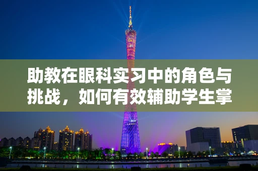 助教在眼科实习中的角色与挑战，如何有效辅助学生掌握眼科技能？