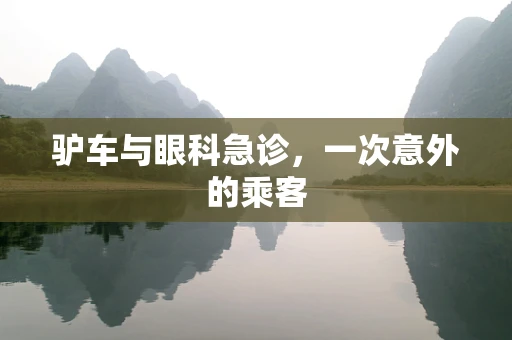 驴车与眼科急诊，一次意外的乘客