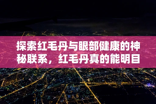 探索红毛丹与眼部健康的神秘联系，红毛丹真的能明目吗？