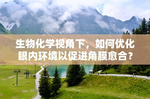 生物化学视角下，如何优化眼内环境以促进角膜愈合？