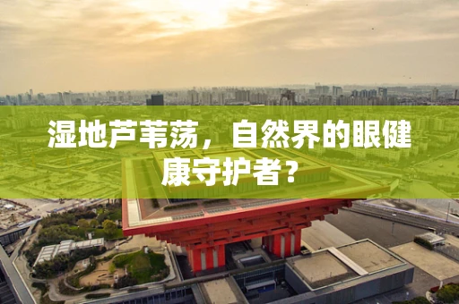 湿地芦苇荡，自然界的眼健康守护者？