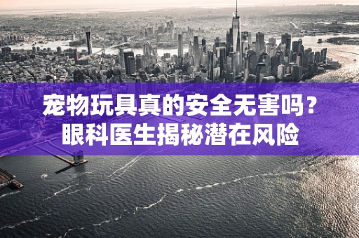 宠物玩具真的安全无害吗？眼科医生揭秘潜在风险