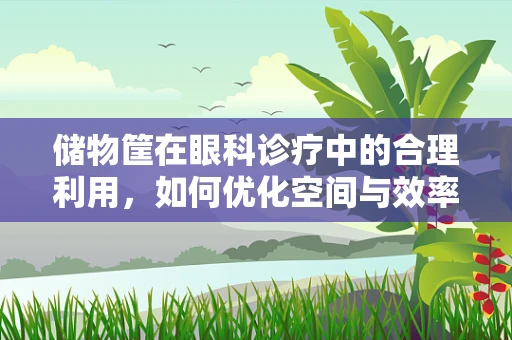 储物筐在眼科诊疗中的合理利用，如何优化空间与效率？