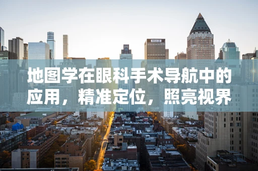 地图学在眼科手术导航中的应用，精准定位，照亮视界