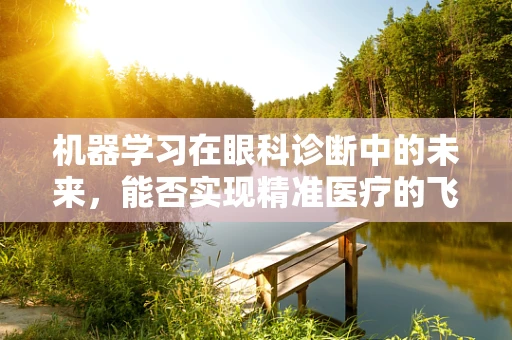 机器学习在眼科诊断中的未来，能否实现精准医疗的飞跃？